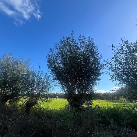 Aldoerrum Hoevelogementen Aarle-Rixtel エクステリア 写真